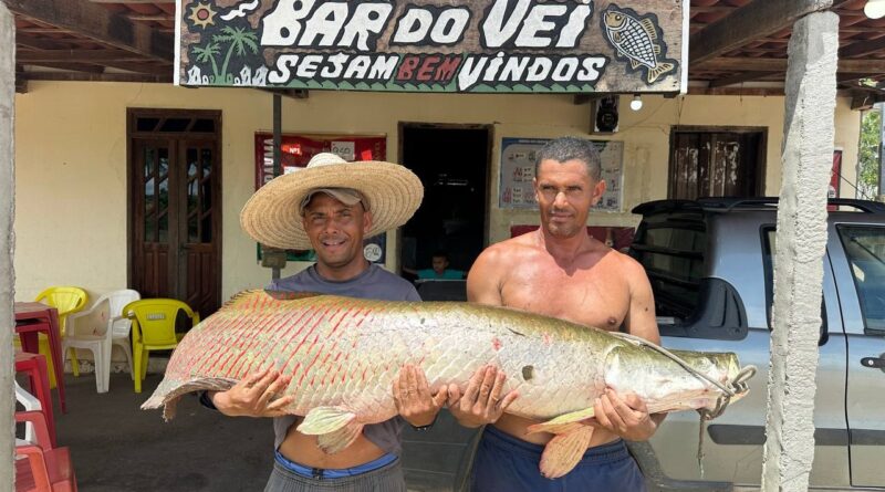 Pescadores de Ipirá chamam atenção ao capturar peixe de tamanho incomum no povoado do Trapiá